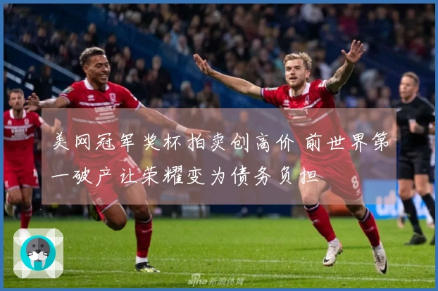 美网冠军奖杯拍卖创高价 前世界第一破产让荣耀变为债务负担